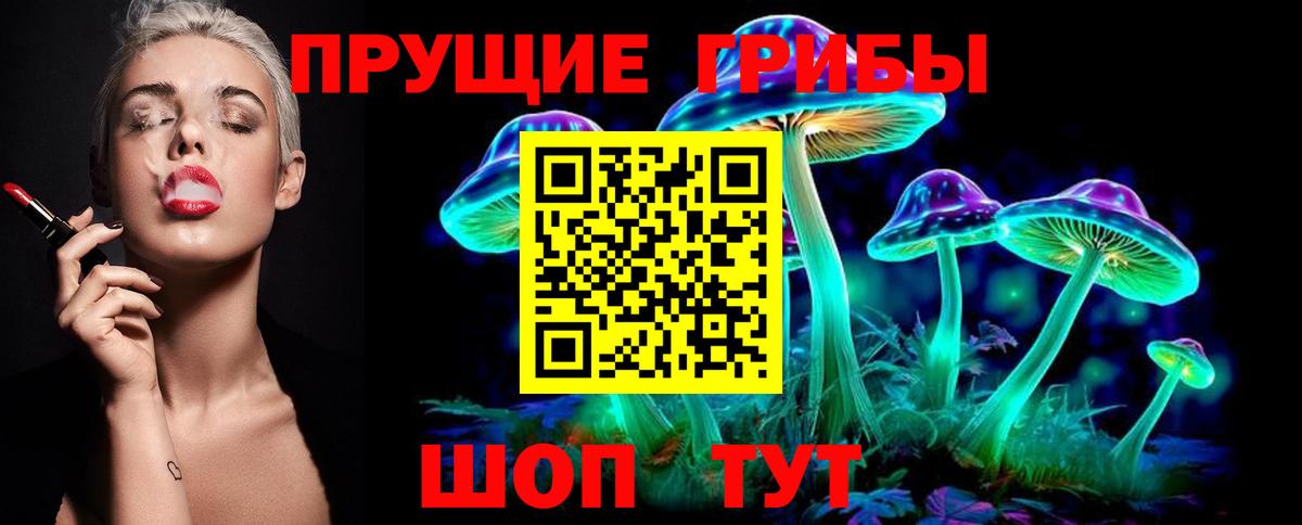 купить наркотики цена  Вход с VPN  Киселёвск  Галлюциногенные грибы MAGIC MUSHROOMS 